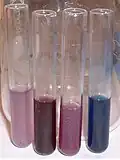 Ba – Sr – Ca – Mg