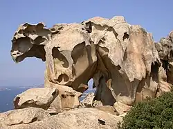 „L'orso“ – „Der Bär“