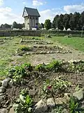 Beete auf der Garteninsel; im Hintergrund der Burgturm (2014).