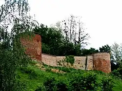 Befestigungsreste des Schlosses, dem Châtillon seinen Namen verdankt