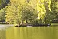 Insel im Clausensee