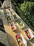 Präsentation seltener Apfelsorten auf dem Clusorther Apfelfest