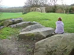 Coldrum Stones