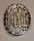 Deutsches Sportabzeichen als Anstecker in Silber (seit 2007)