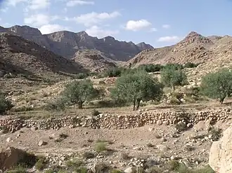 Djebel Orbata