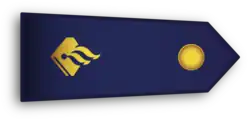 Rank epaulette of a Dutch police employee who has limited to no legal powers but still works in uniform and thus wears rank insignia.
