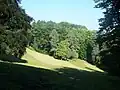 Gleiche Kameraposition – heute eine Lichtung im Park (2011)