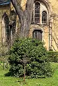 Ehrengrab auf einem Friedhof