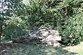 Eichenstamm mit einem Durchmesser von ca.&nbsp;2&nbsp;Meter, gefällt 2008 vom Sturm Kyrill