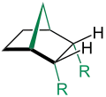 endo