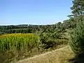 Blick Richtung Nord-Westen auf das Estetal bis zum Buxtehuder Bullenberg.