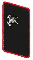 Feuerwehranwärter (FA) und Feuerwehrmann (FM)