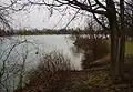 Fasaneriesee