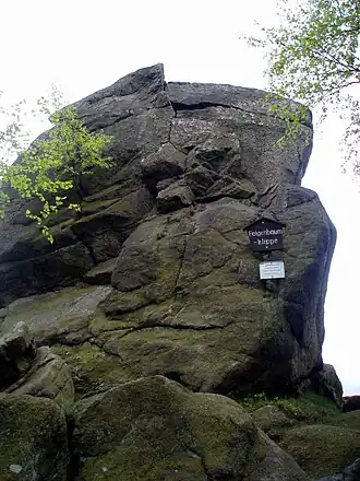 Die Feigenbaumklippe