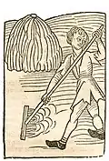 Hortus sanitatis, Mainz 1491. Abbildung zum Kapitel Fenum – Heu