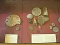 Aus der Fossilsammlung von Smith im Natural History Museum