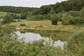Zelten am See