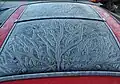 Eisblumen auf einem Auto-Oberlicht