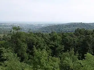 Alte Buchenwälder und Buchen­urwälder der Karpaten und anderer Regionen Europas (Erweiterung)