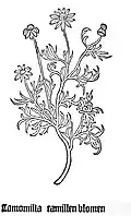 Gart der Gesundheit 1485