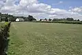 Grasnarbe auf der Rennbahn