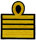 Dienstgradabzeichen Oberst an Galauniform
