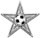 Vizemeister