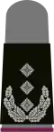 Schwarzes Grund­gewebe mit hell­grau­en Emblemen für Heeresuniform­träger (hier: Oberst ABC-Abwehrtruppe, grauer Pullover)