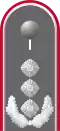 Dienstgradabzeichen eines Oberst i. G. auf Schulterklappe der Jacke des Dienstanzuges für Heeresuniformträger