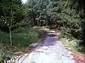 Blick auf den Bunkereingang