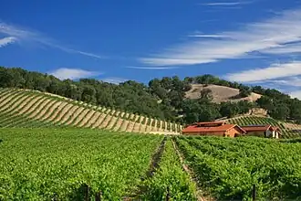 Halter-Ranch, Weingut in Paso Robles