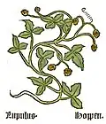 Herbarius Moguntinus 1484