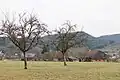 Der Hintere Schlatthof
