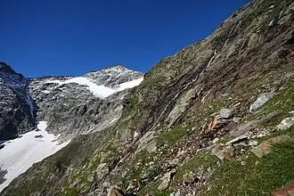 Goldzechkopf von Norden
