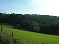 Blick zur Homert
