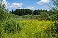 Blick ins Naturschutzgebiet
