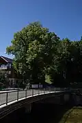 Winterlinden bei HNr.&nbsp;16