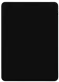 iPad Pro