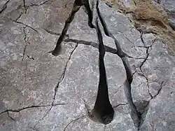 Kluftkarren, Velebit