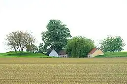 Die „Kleinkellern“ bei Kleinhain, NÖ