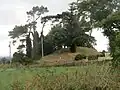 Motte von Rathvilly