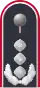 Dienstanzug Oberst i. G. Luftwaffenuniformträger