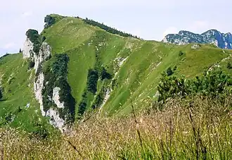 Latschenkopf von Osten