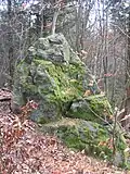 Lindenberg-Fels auf dem Kirchberg-Lindenberg-Rücken nördlich Trautheims bei Darmstadt (Schiefergneise und Hornfelse zwischen Hornblende-Diorit bzw. Biotit-Diorit).