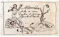 Die mythologische Andromeda und die Pflanze, die er nach ihr benannte