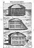 A. Testudo Simplex, B. Testudo Rostrata, C. Testudo Arietaria