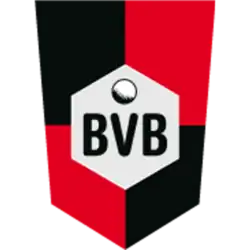 SV BVB 49