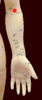 Lu 5