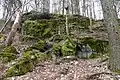 Moosbewachsene Felsen der Magnetsteine (2018)