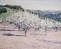 Evelyn McCormick: Pear Orchard (1894)